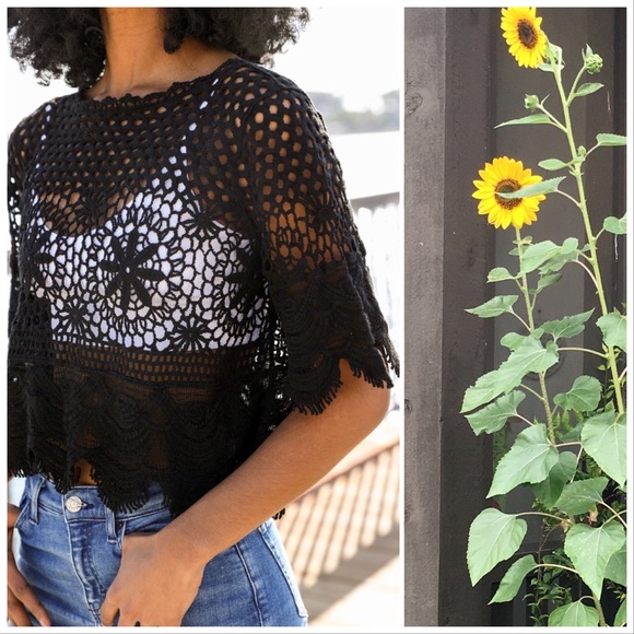 Diane Crochet Short Sleeve Crop Top - Picture 4 of 12